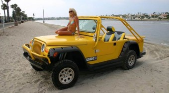 A leggyorsabb kétéltű