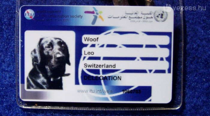 Leonak már van jegye!