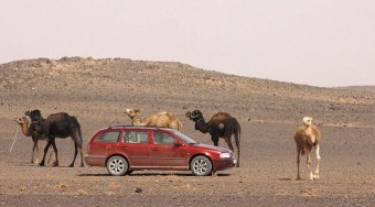 Kelet felé terjeszkedik a Skoda