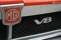 V8