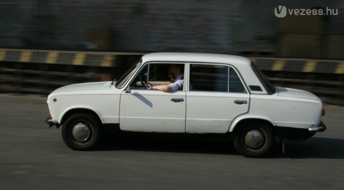 Szinte mindenütt családtag