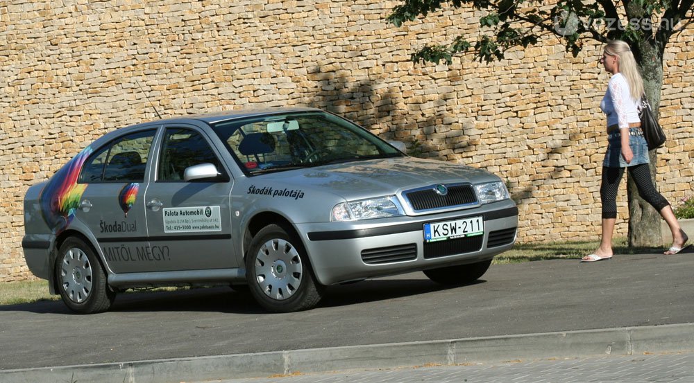 Gázzal a legésszerűbb családi autó, ha büdös a dízel Logan kombi