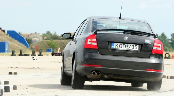 Kerülgethetjük vele a szarvasokat