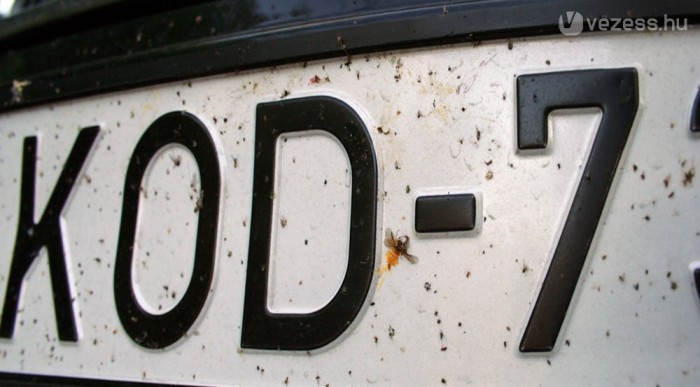 Ártatlan áldozatok az autópálya után