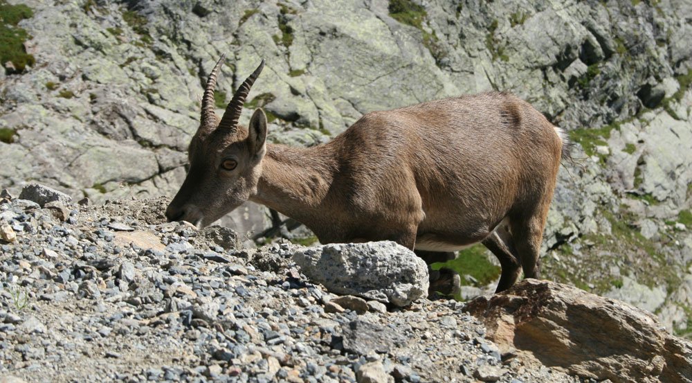 Hegymenetben a Mont Blanc-ra 13