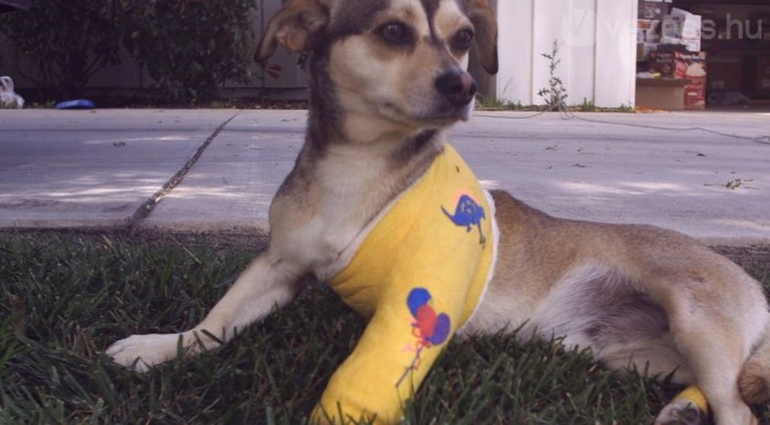 Ő megúszta egy csinos gipsszel