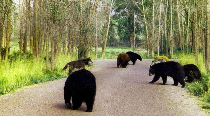 Itt ne szálljunk ki pisilni