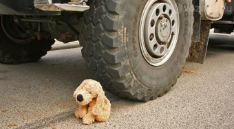 Mi legyen az áldozattal?