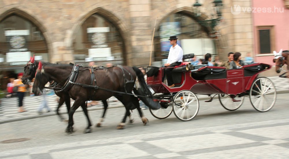 Mindent a turistákért!