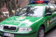 Skoda Octavia Combi Tour PD TDI 1,9