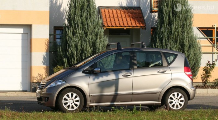 Pálmafák árnyékában. Valójában a Bahamákon fotóztuk.