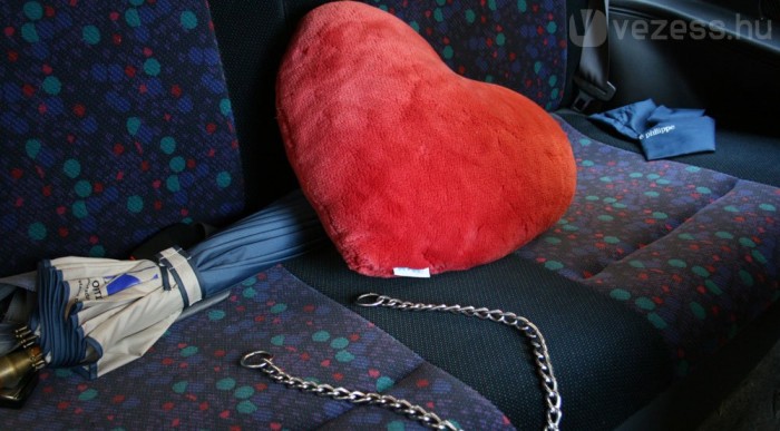 Szív és kutyalánc