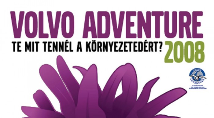 Egy fél plakát. Nem a Süsüből.