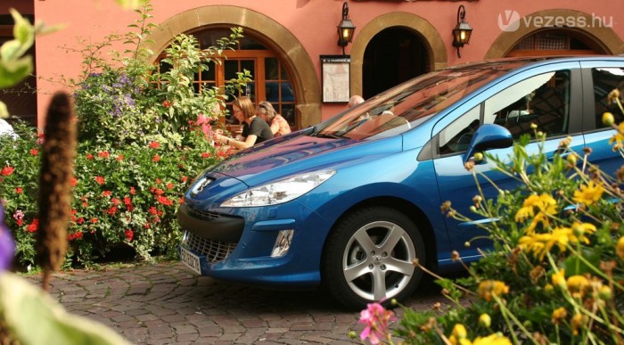 Vezettük: Peugeot 308 8 | Vezess Virágágyás volt a jelük az oviban