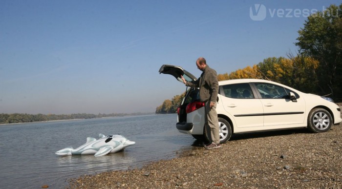 Integetés, stáblista, könnyek