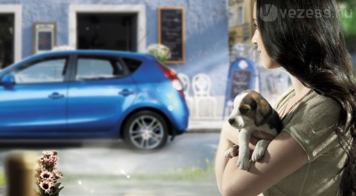 Bológatós kutya már van