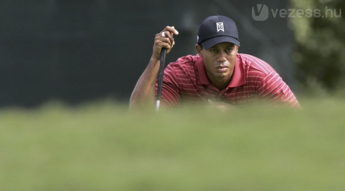 Woods 100 milliót kaszált egy év alatt