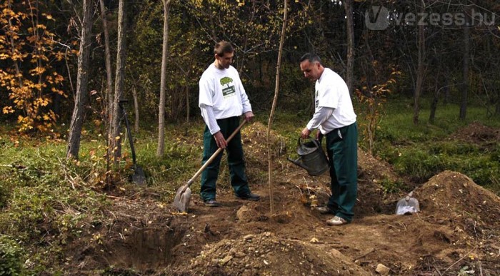 Minél több autó, annál tisztább levegő 4 | Vezess 2000 fát ültettek el