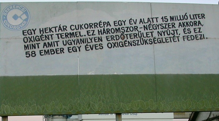 Autót vagy motort? 8