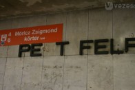 Petfelf