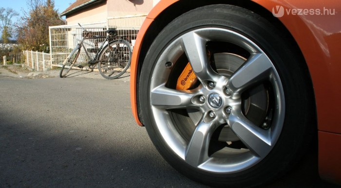 Jó hely. Nincs leláncolva a canga