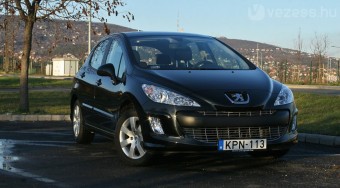 Fogszabályzós oroszlán