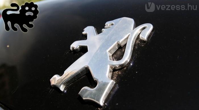 Áltudományos horoszkóp 9 | Vezess Macskaféle