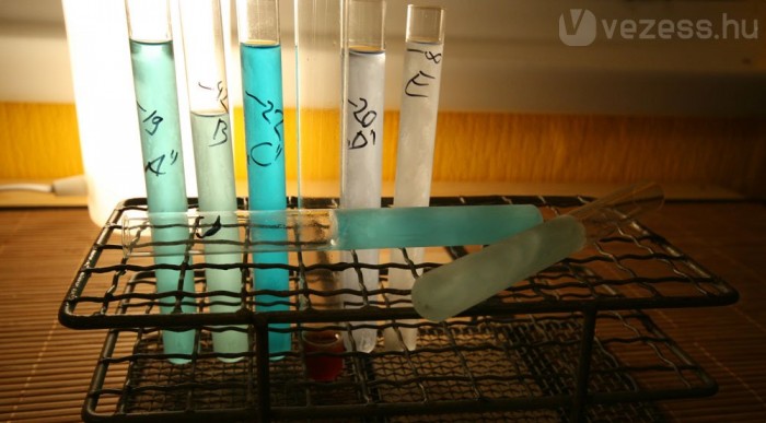 3:1-es higításban már van amelyik fagy