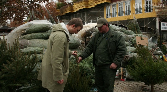 Nincsenek méterre szóló árak