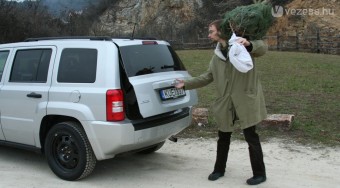 Fenyőárak és szállítási módok