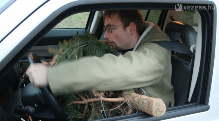 A fa nem akadályozhatja a vezetést