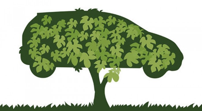 Csak a szép zöld gyep...