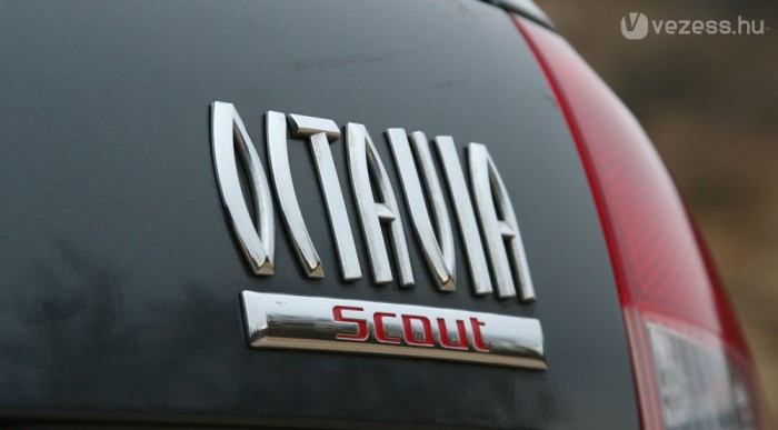 Magyarul cserkész vagy felderítő