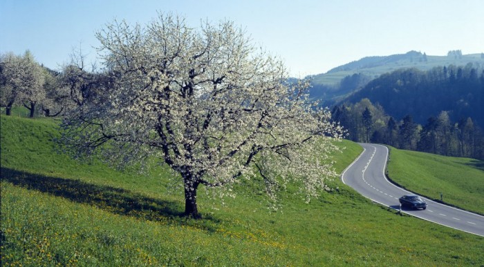 Éljen a természet!