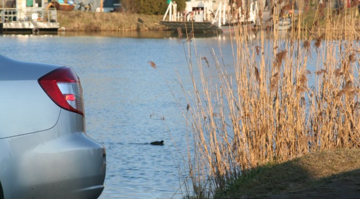 Fain menedzserautó 9 | Vezess A hátulja közelebbről