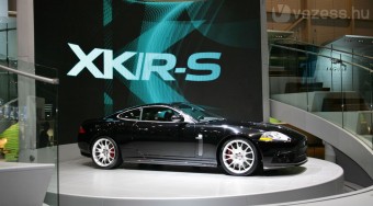 Begyorsult a nagymacska