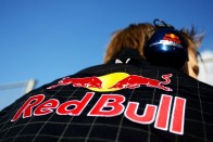 Red Bull Racing 21