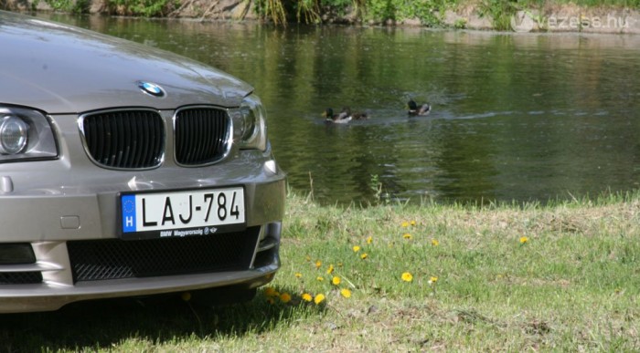 Kis kacsa úszik...