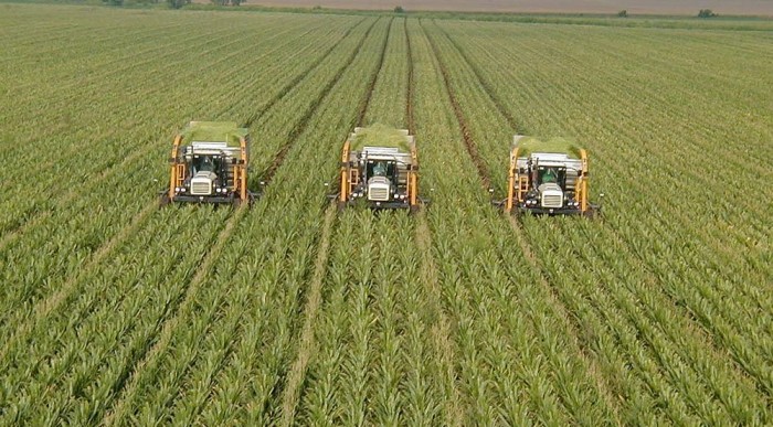 A jövőautók veszélyei 11 | Vezess A bioetanol drágítja az élelmiszert