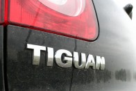 A tigris és a leguán