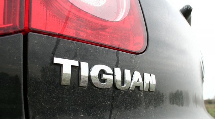 A tigris és a leguán