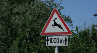 Az Opel, amely tudja a KRESZ-t