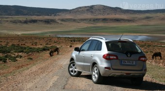 Renault Koleos: Új terepen