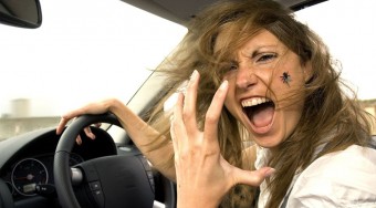 Nyári autósvakációk bajai