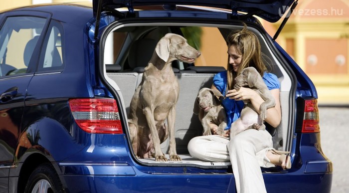 Fontosak a kompakt modellek a Mercedesnek