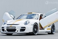 Vágott tetős Porsche 14