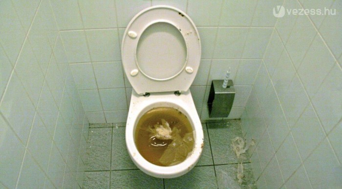 A nagy balatoni WC-teszt 7 | Vezess Trainspottingos hangulati elemek