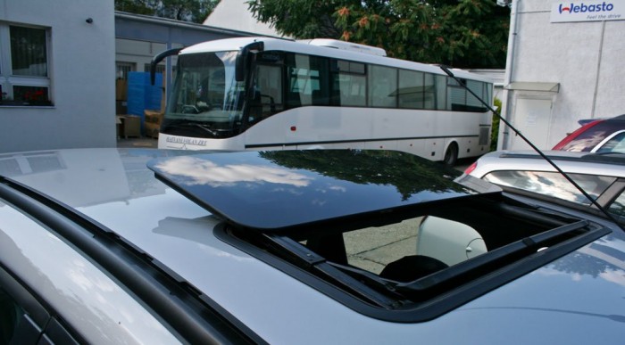 Kb. 25 centire nyílik a kisebb