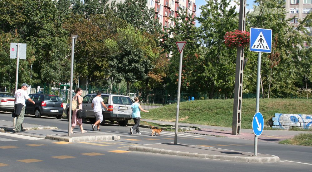 Kötelező elengedni a járókelőket a zebrán