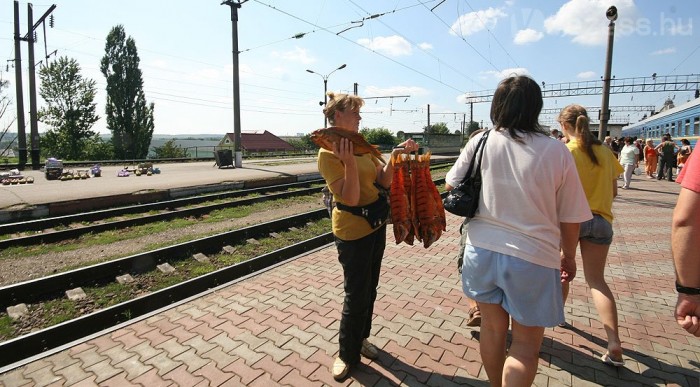 Tank nélkül a Kaukázusban 13 | Vezess Halmúmiát tessék!
